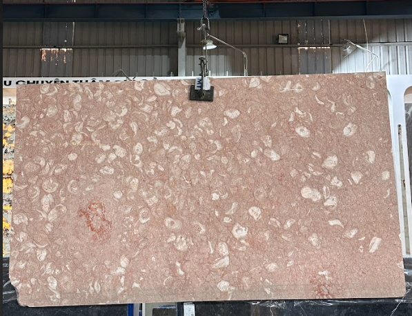 Đá Marble Hồng Sò
