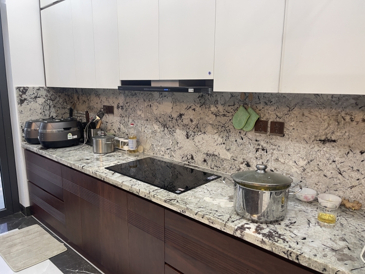 BIỆT THỰ NHÀ Ở - PHÚC THỌ