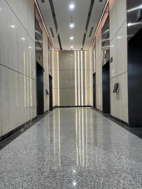 Thang máy được ốp bằng đá Marble Moca Cream