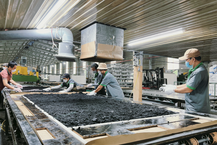 Chuẩn bị nguyên liệu và công thức phối trộn