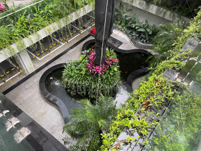 đá lát nền sân vườn