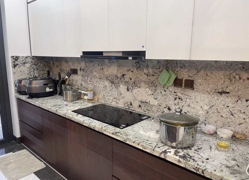 BIỆT THỰ NHÀ Ở - PHÚC THỌ